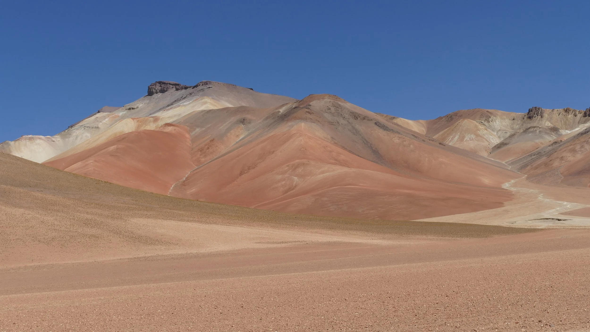 Bolivia Salar e Lagune viaggio di 9 giorni con tour di gruppo attraverso l'altopiano andino