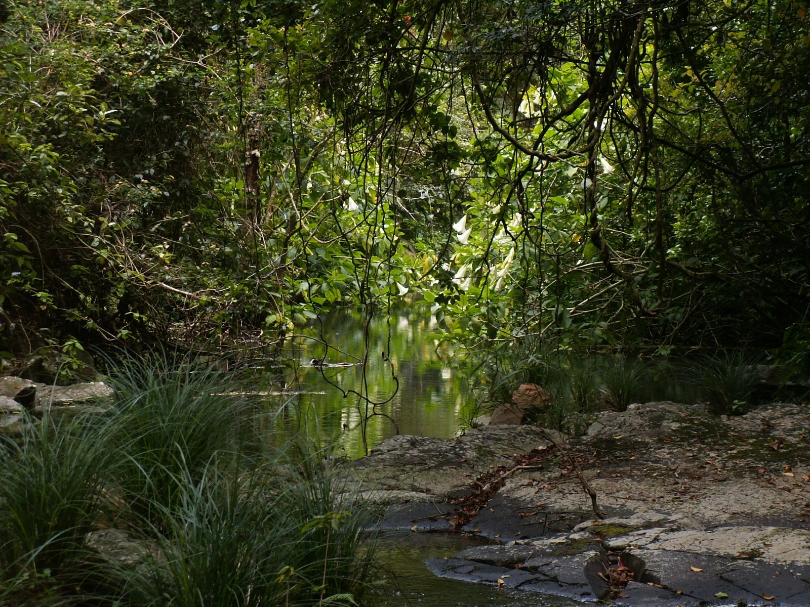 14-18 Agosto 2026. Tour di gruppo di 15 giorni nella Regione di Diego Suarez, soggiorno mare nell'arcipelago di Nosy Be