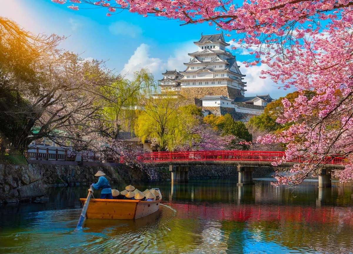 Makoto-Tour-1.jpg