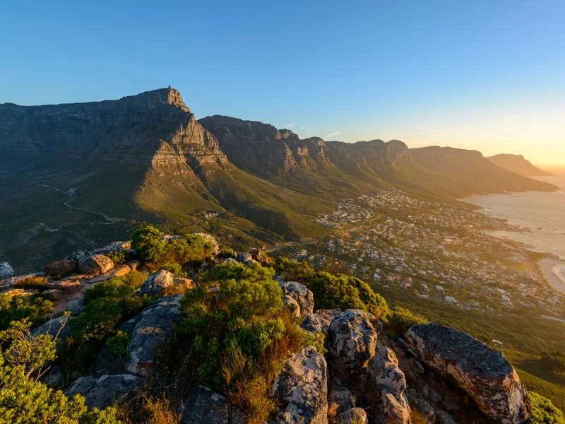 Da Cape Town ai grandi safari