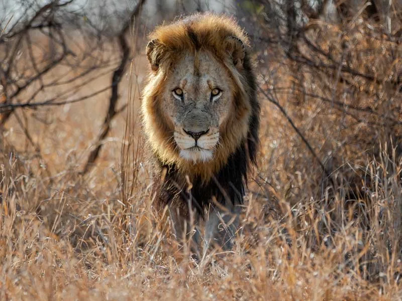 Sudafrica-9.jpg