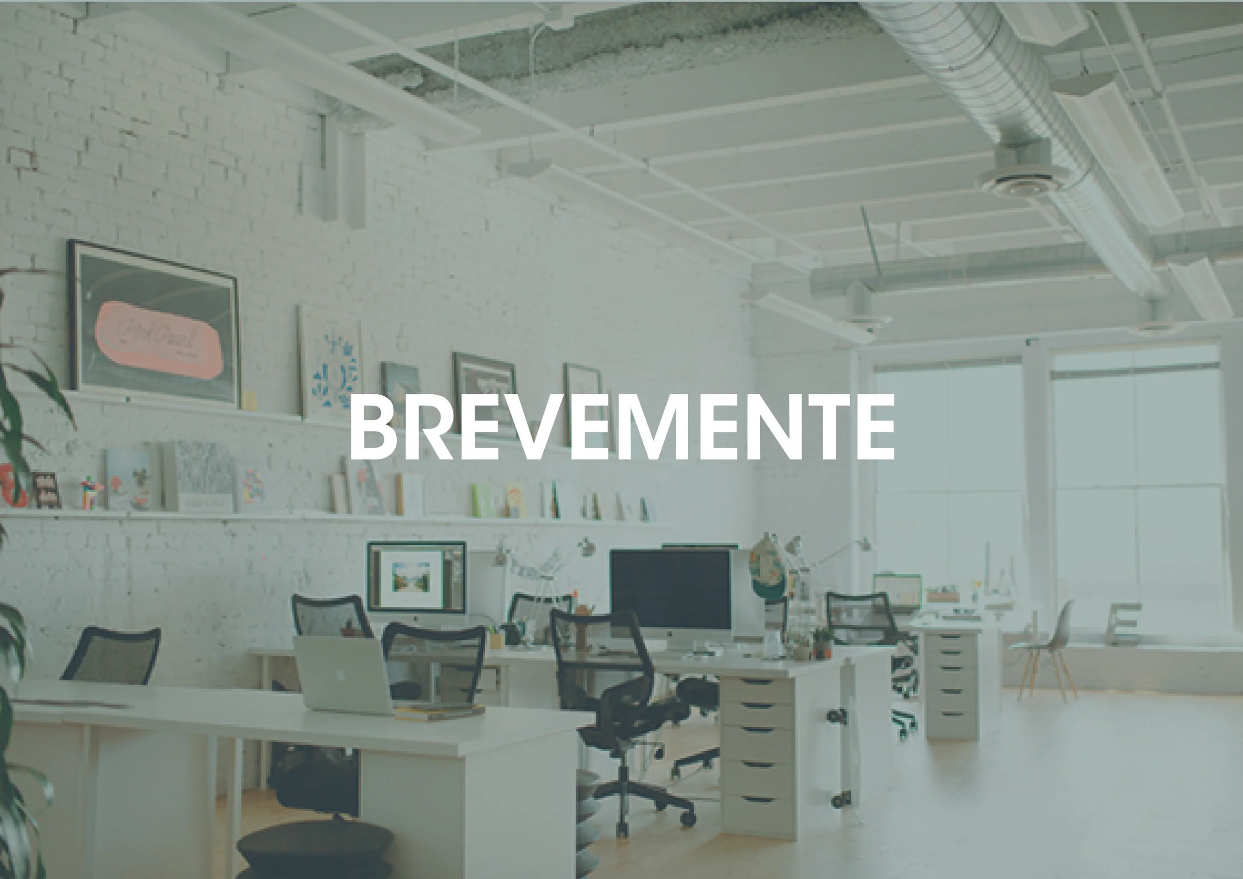 brevemente_imagens_website_Prancheta 1.jpg