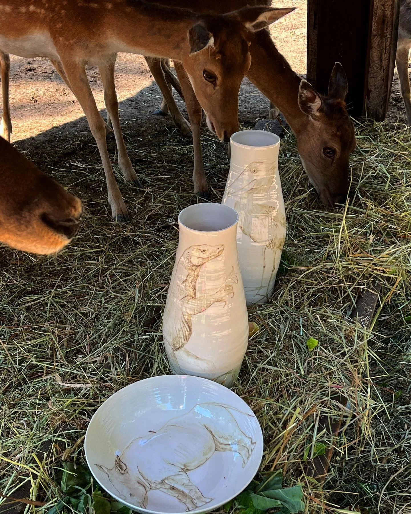 Walking a schoebill&hellip;🌾💚 thank you for your cooperation lovely animals and humans from @tierpark_neukoelln_fanpage  you are amazing! 💛✨ #tierparkhasenheide #hasenheide #love#porcelain #zokotucha #drawing #sparkleandshine #brothersinarms