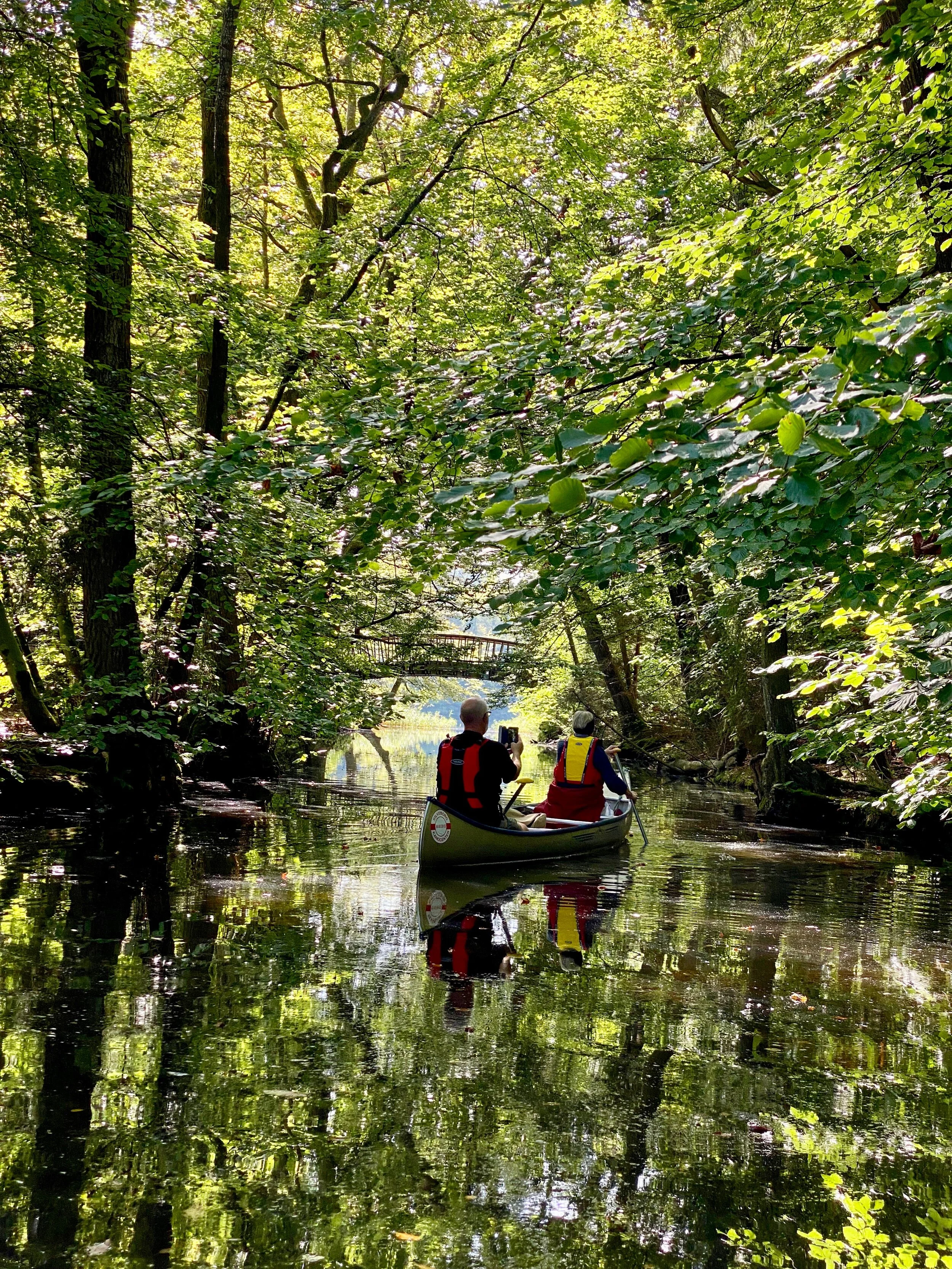 Jeg er fuldstændig fortabt i dette sted