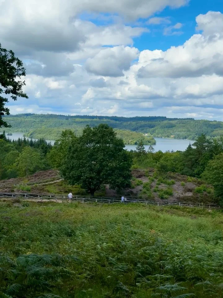 Jeg har ikke v&aelig;ret p&aring; Himmelbjerget, siden jeg var barn - og det er bestemt en fejl. 

S&oslash;ndag tog familien i skoven - n&aelig;rmere betegnet til Himmelbjerget. 

Her er jo vidunderligt smukt - noget jeg ikke lagde m&aelig;rke til, 
