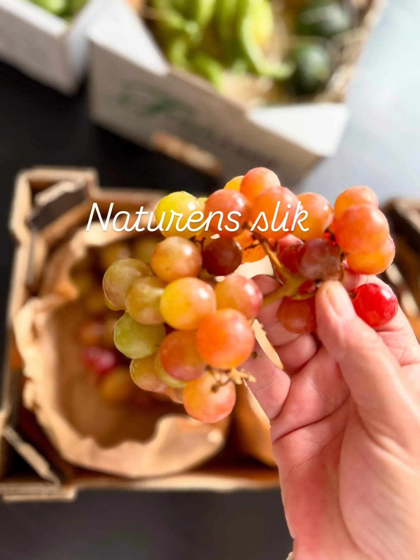 Annonce// @fresh.land 

Sk&oslash;n kasse med naturens slik leveret direkte til d&oslash;ren - nemmere bliver det ikke 🥰

#freshland #&oslash;kologisk #sundtslik #frugt #nemhverdag #sundaldring #levsundt #onlinelevering