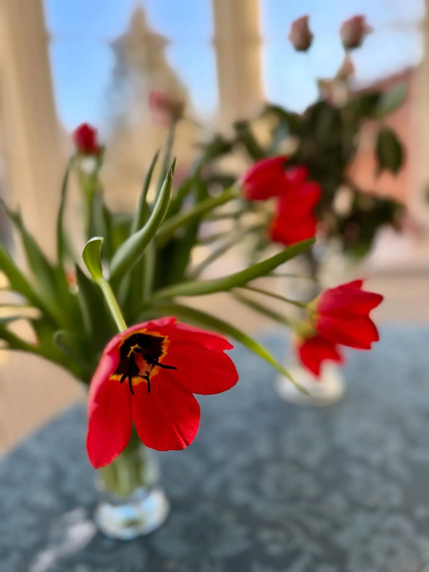 Dejlig 2. Juledag
Nyder blomsterne fra min f&oslash;dselsdag 
Taknemmelig for fin julepynt fra b&oslash;rneb&oslash;rnene 
Frisk tur i det k&oslash;lige december vejr

#2juledag #relaxing #jul2025 #seniortiden
