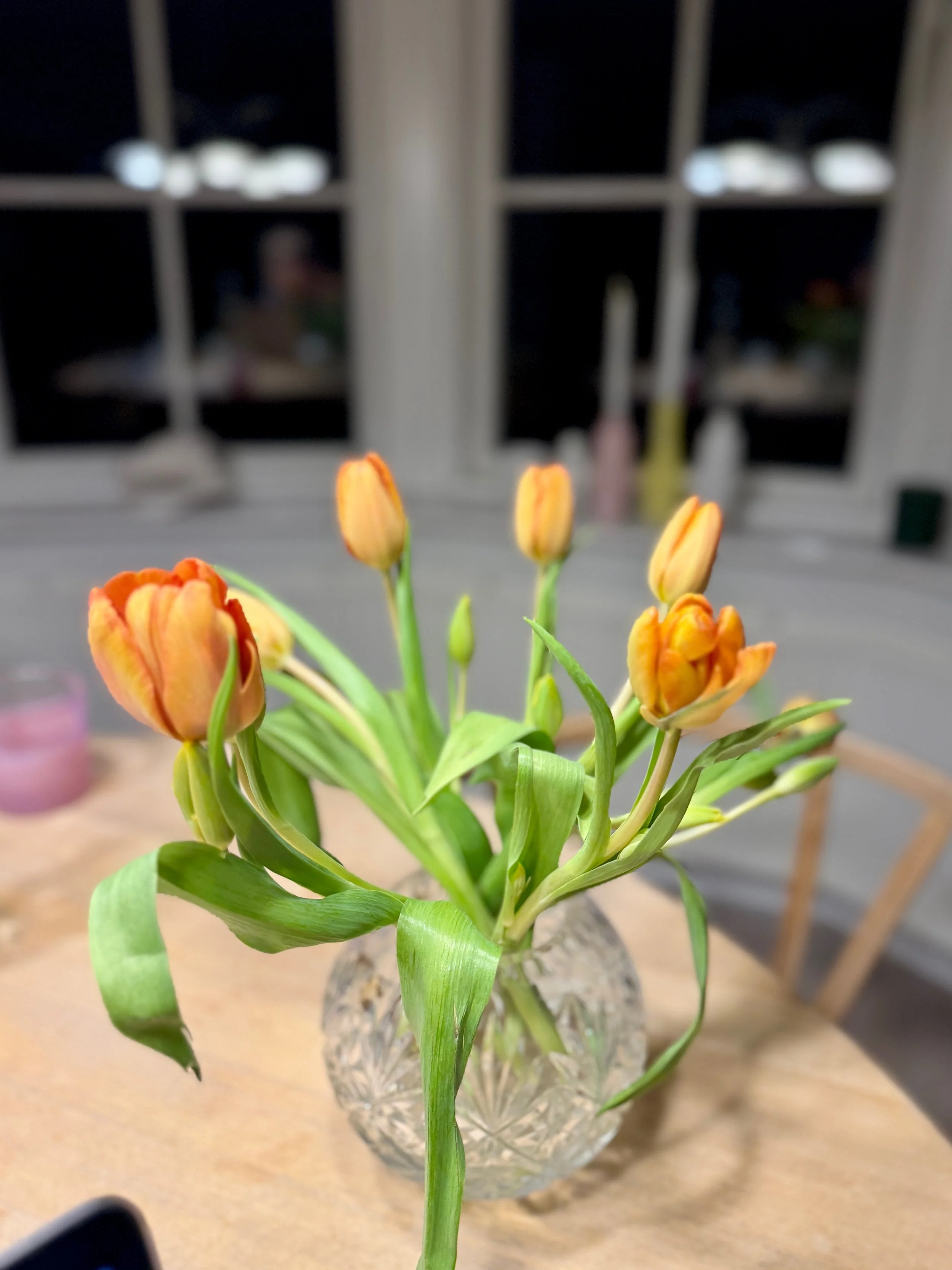 Siden sidst + ugens lille forbedring