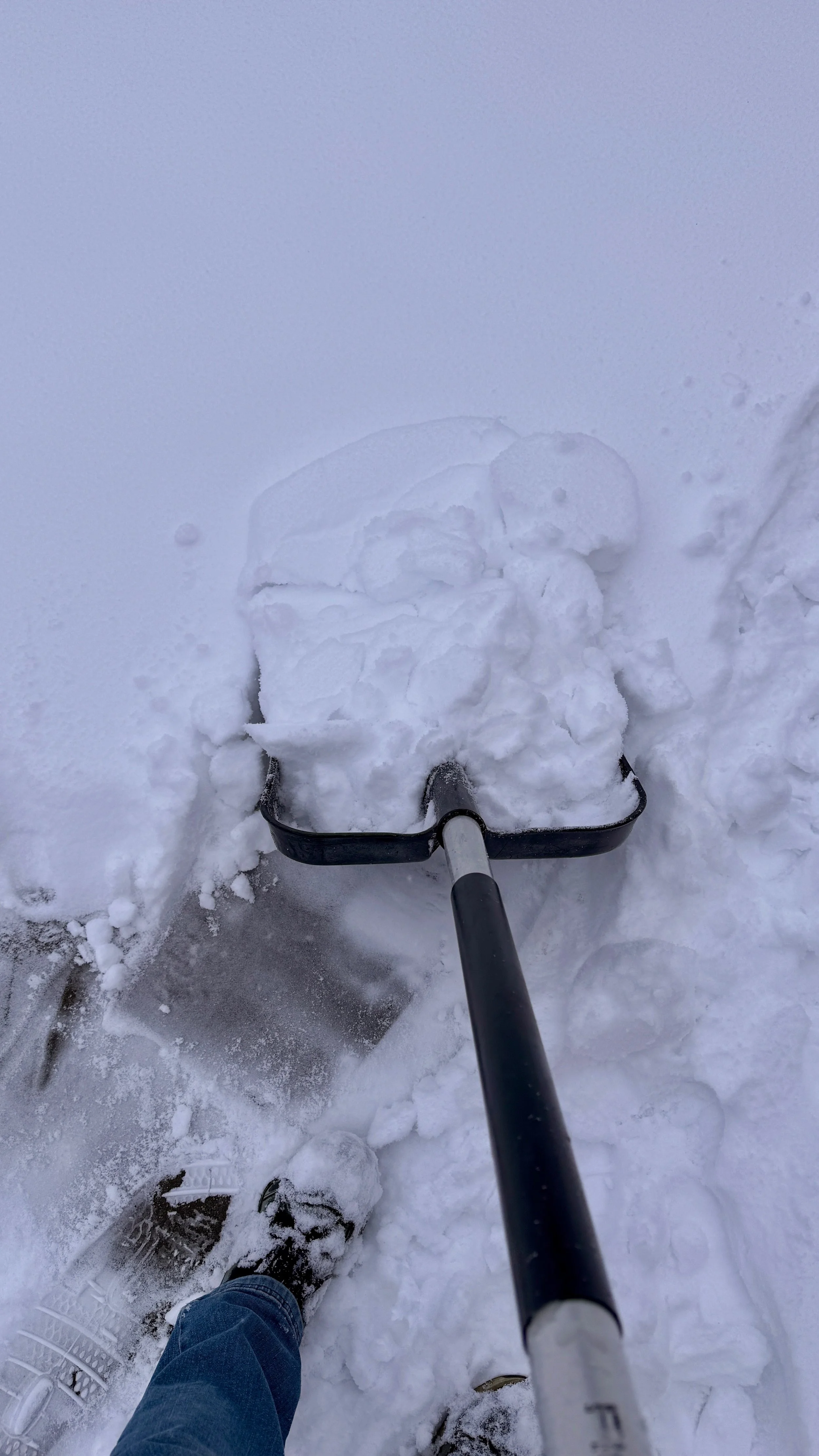 Siden sidst + ugens lille forbedring