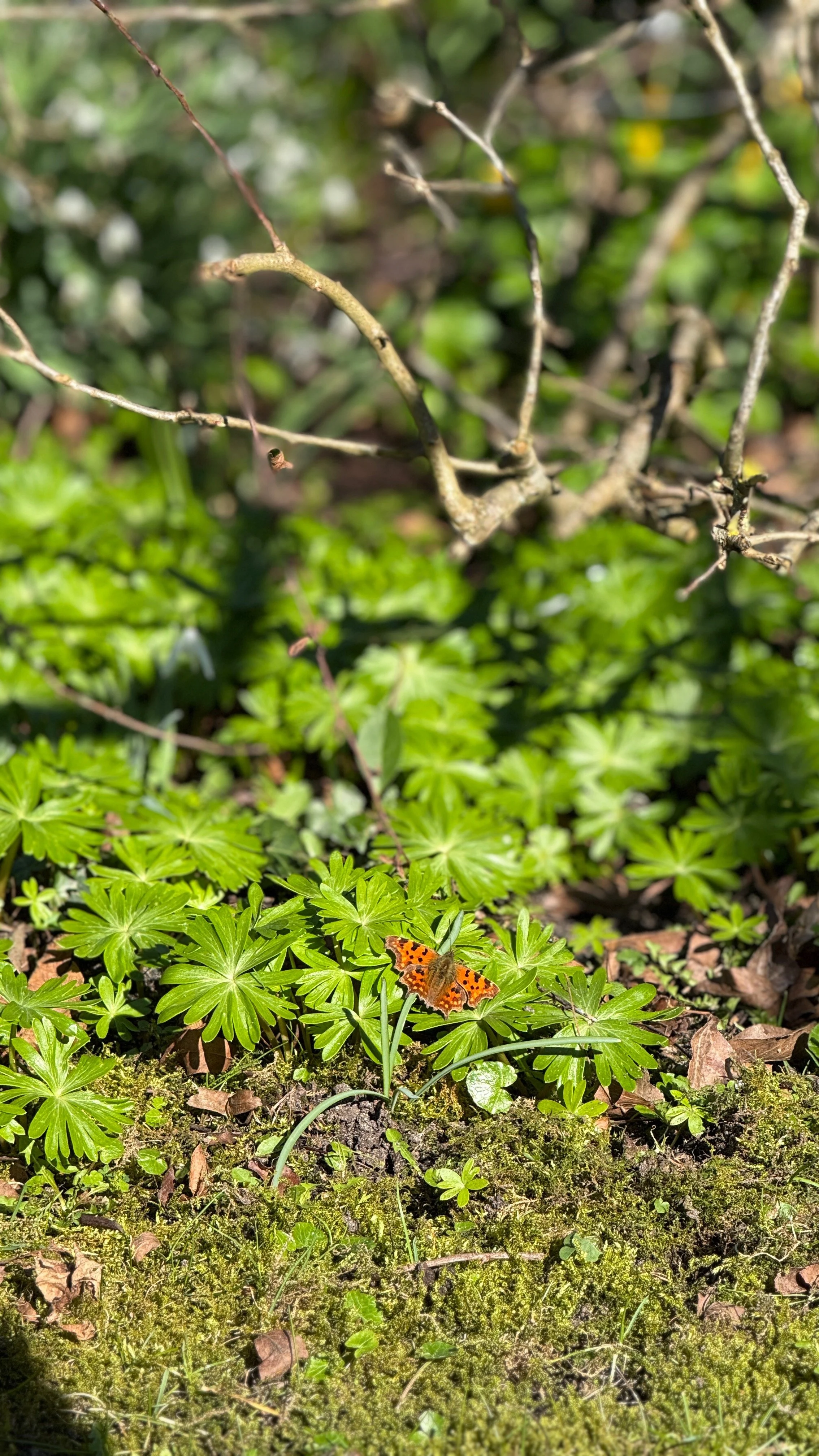 Siden sidst + ugens lille forbedrin