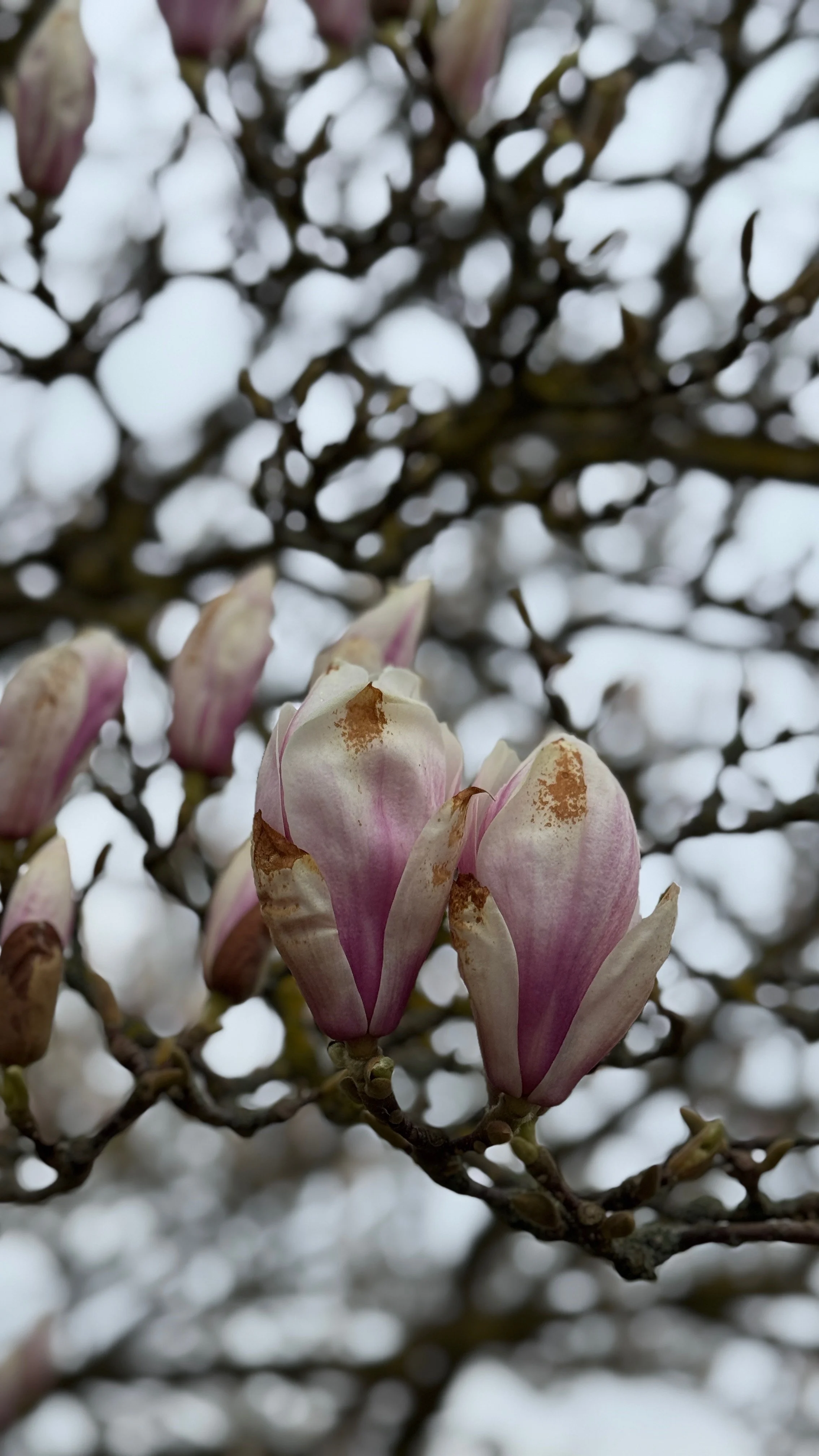 Siden sidst + ugens lille forbedring