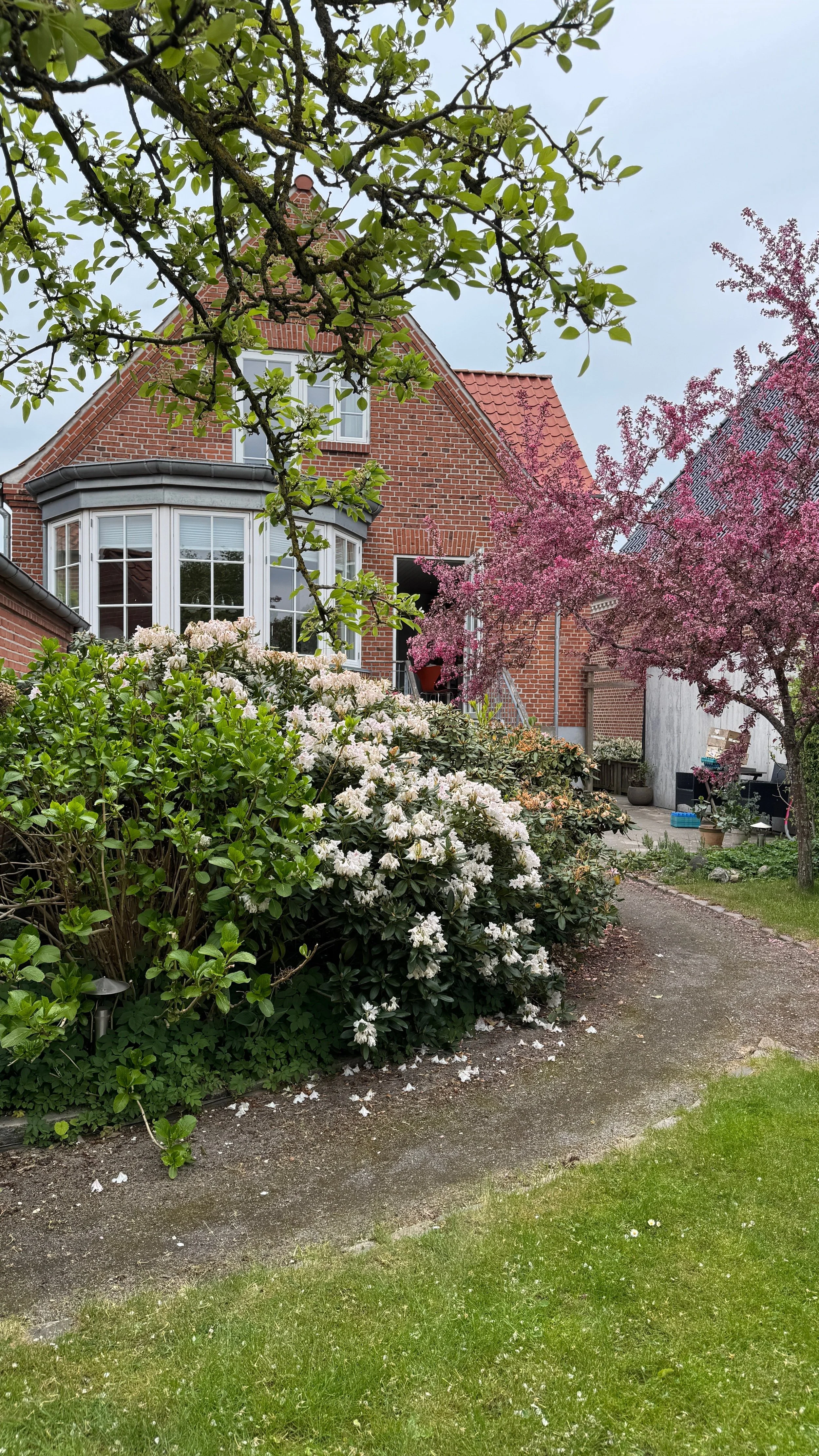 Siden sidst + ugens lille forbedring