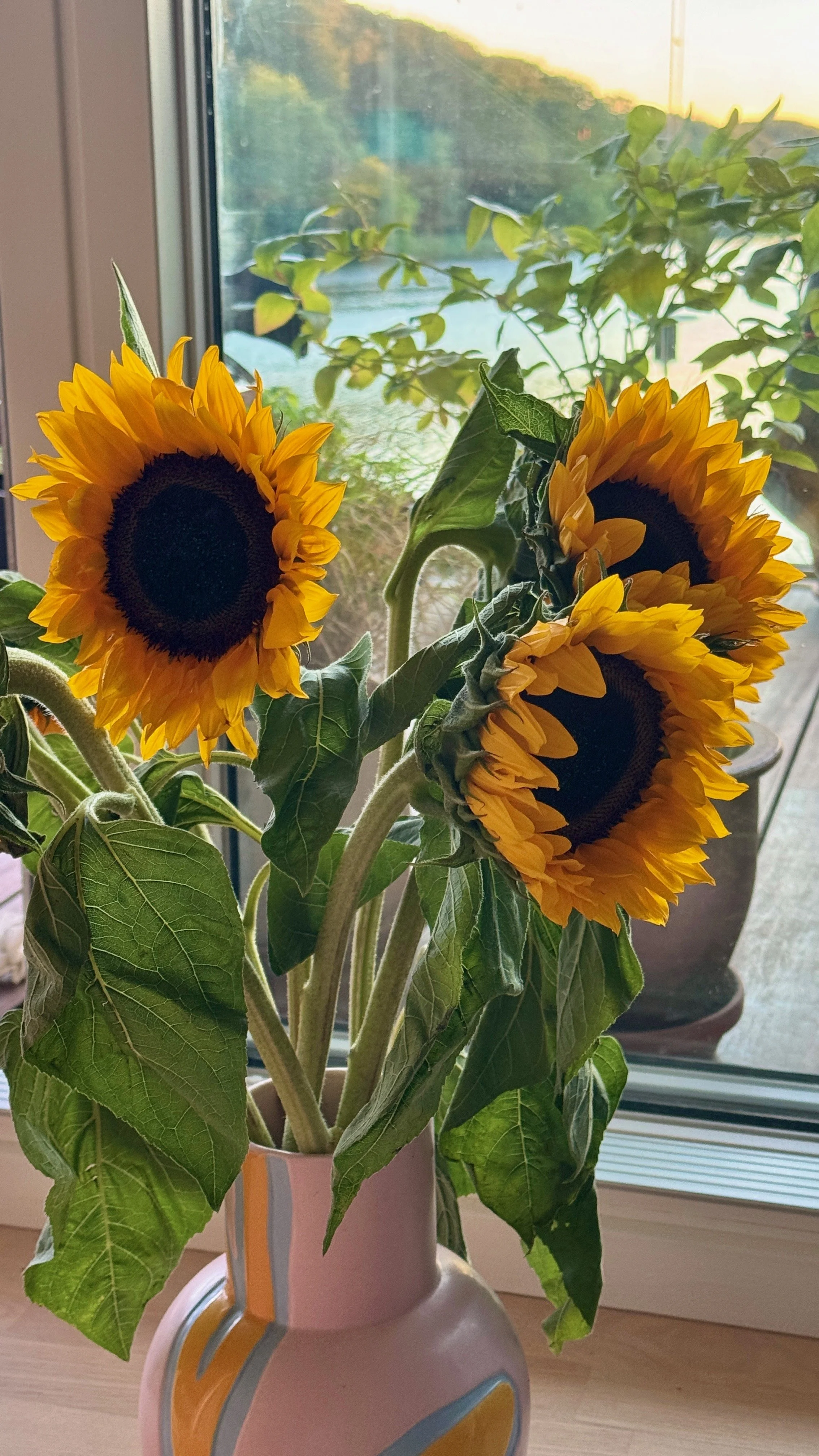 Siden sidst + nyt til lejligheden