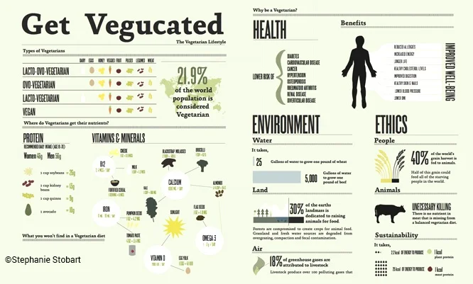 Source: http://www.euroveg.eu/