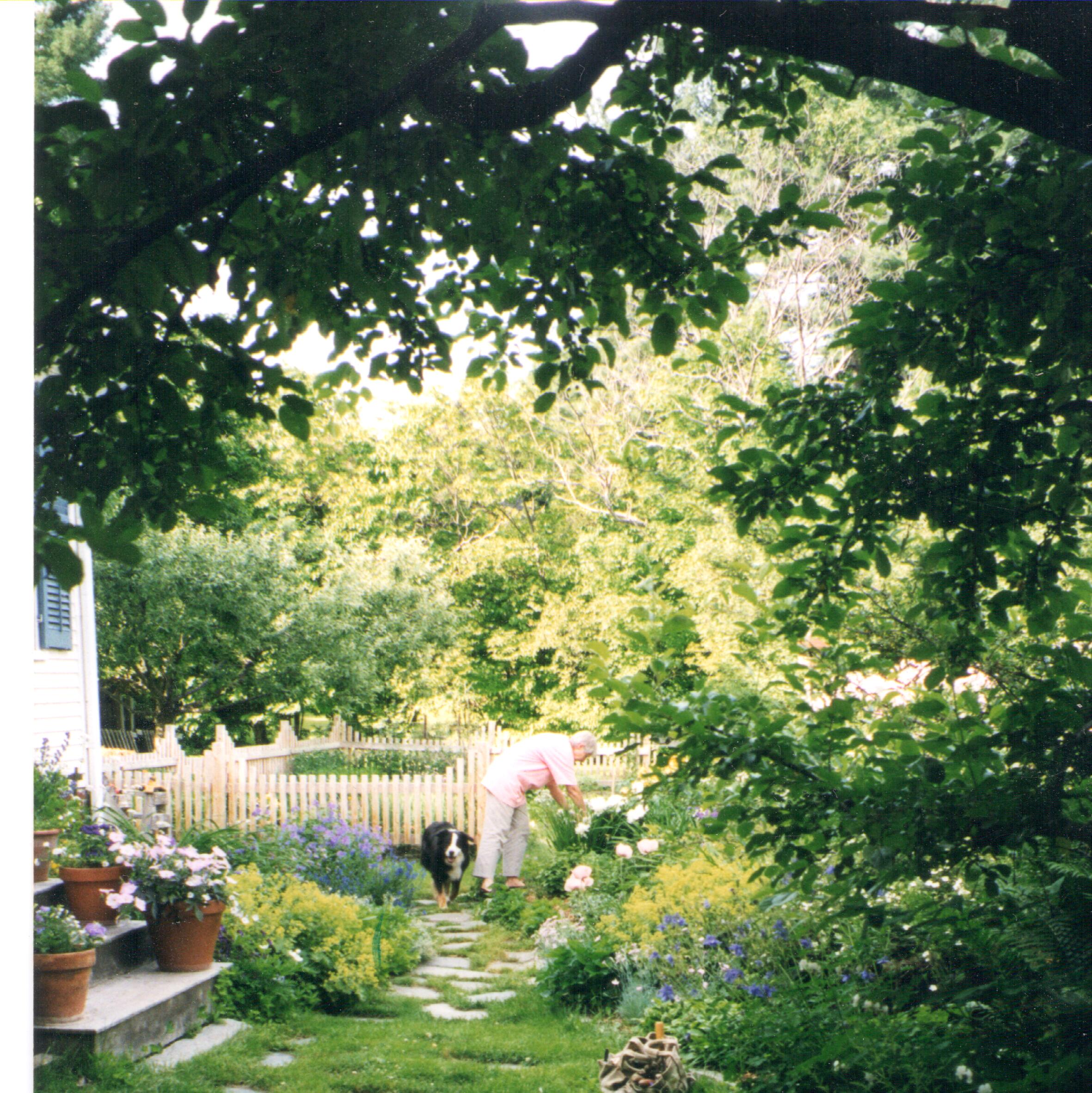 garden.jpeg