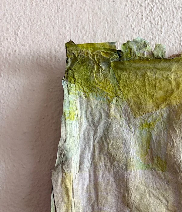 4E86F225-FFCE-4782-AF15-C563160201F5.jpeg