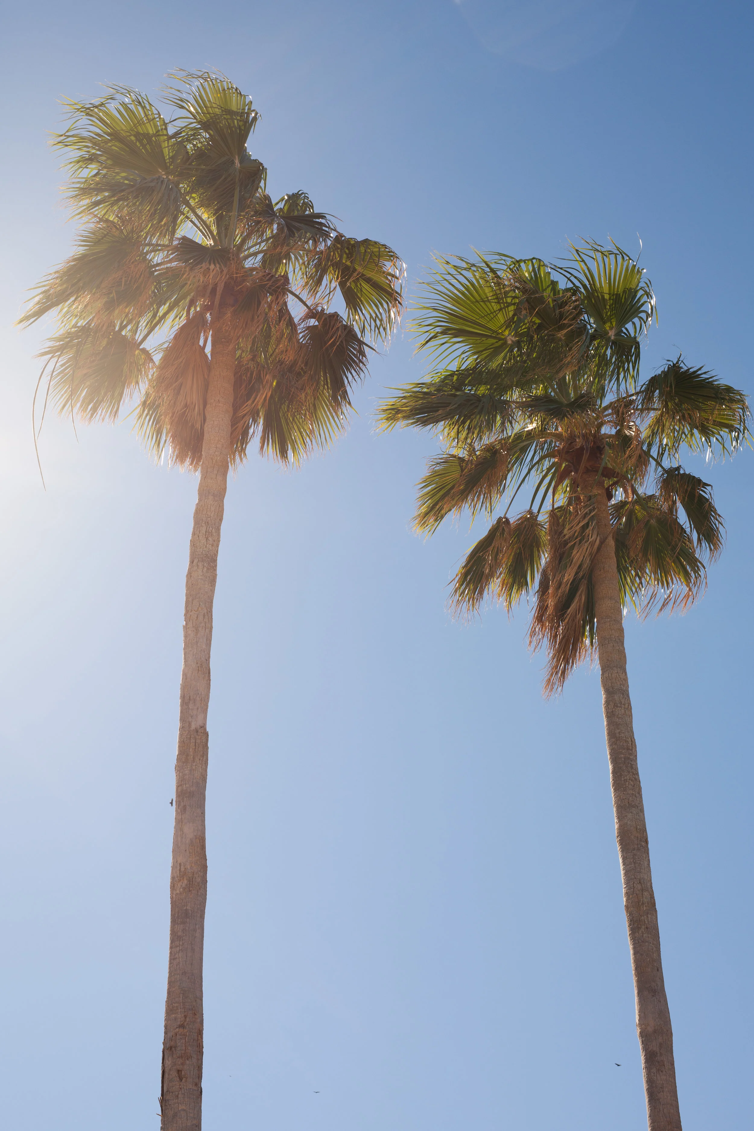 Matheson Hammock Park. © Femke Tewari