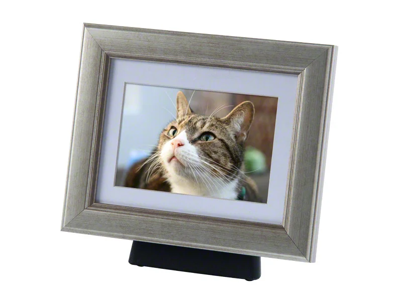 Tribute FramePod Pewter