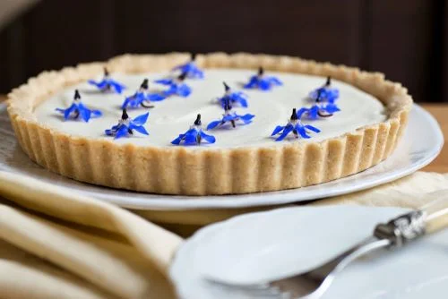 Raw plant-based lemon and borage tart. Photography by my friend Dawn Langley. From a forthcoming online programme about working with Edible Flowers.