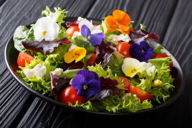 5 Edible Flowers that you can use to Garnish Cakes
