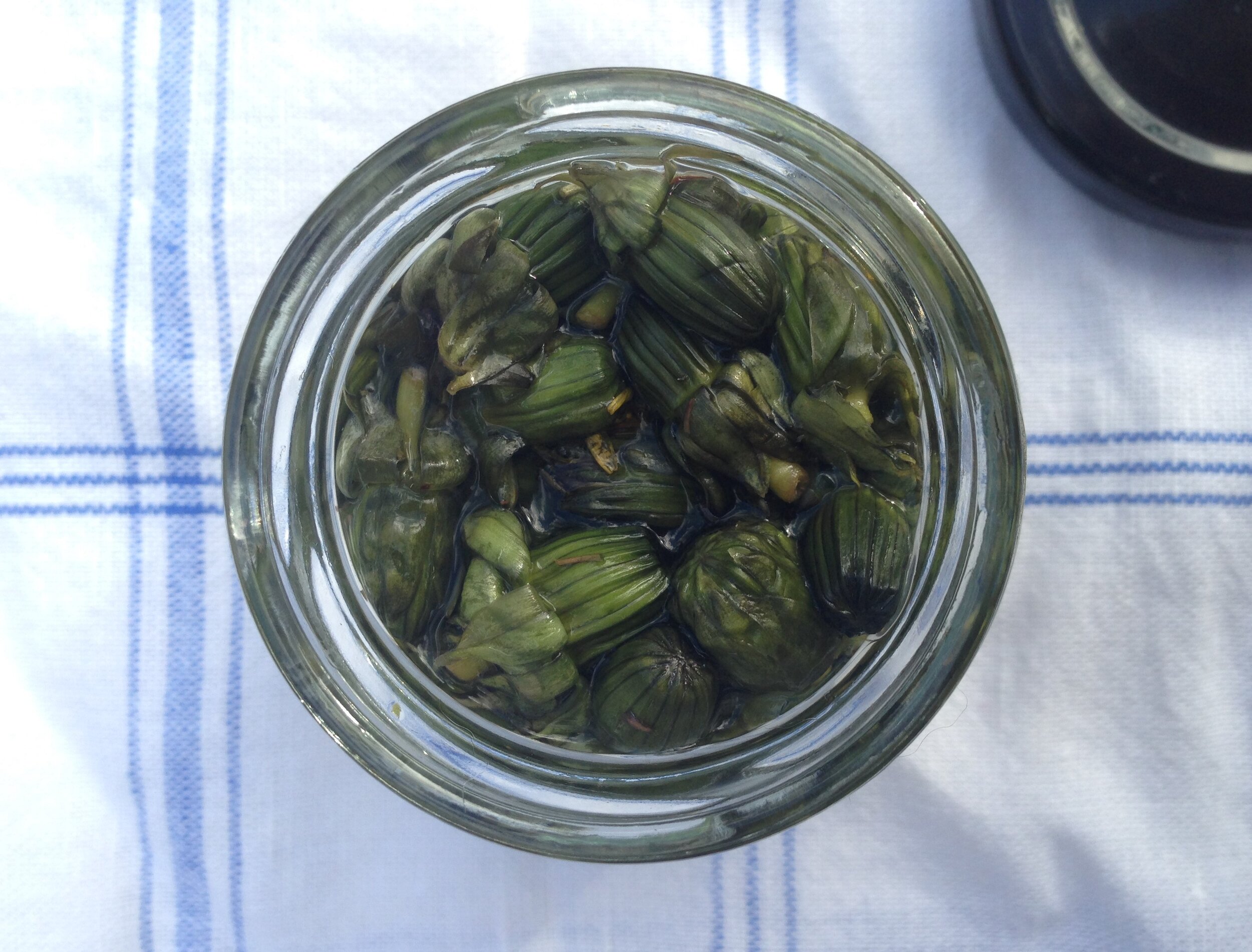 Dandelion Capers