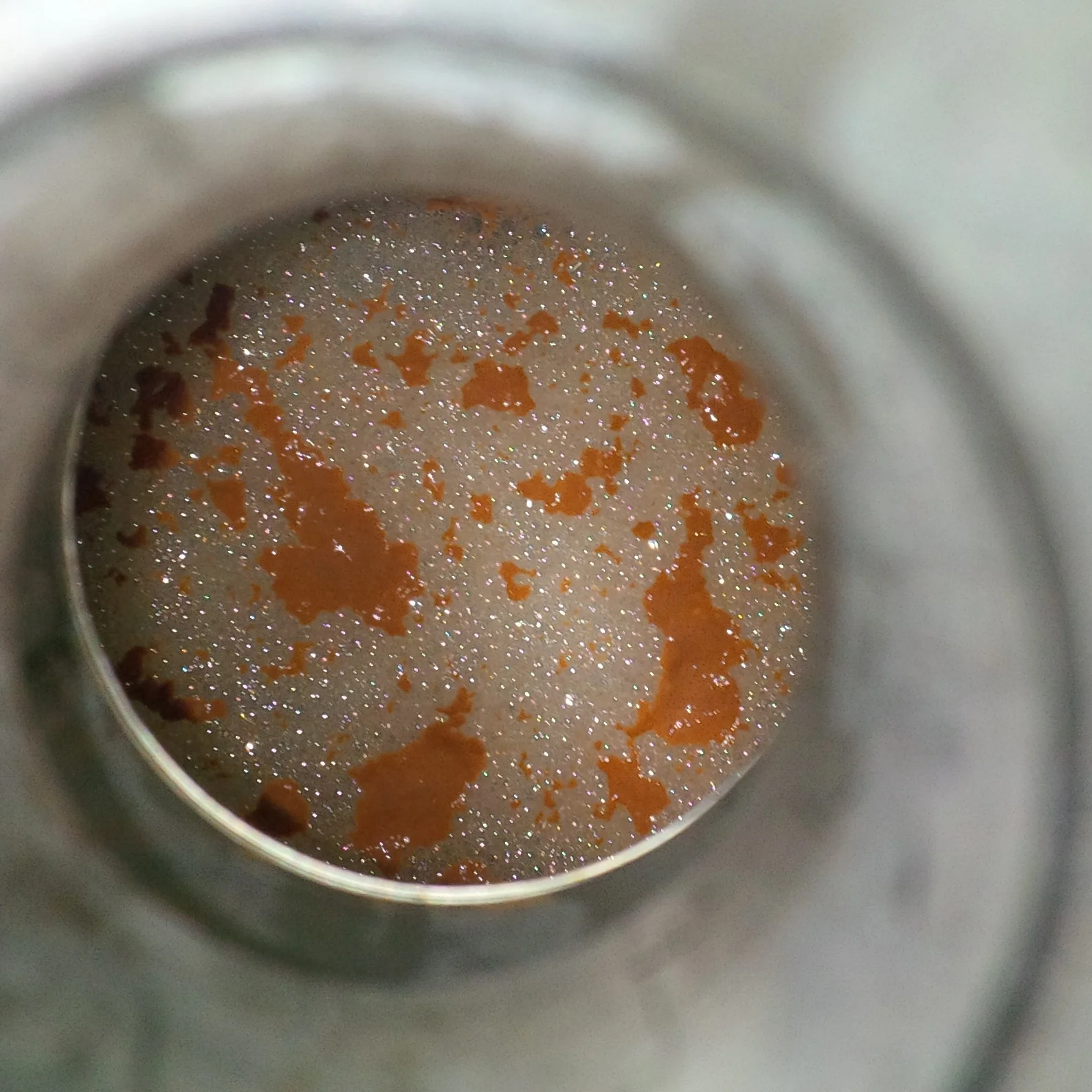 Robller-White-Wine-Fermentation.jpg