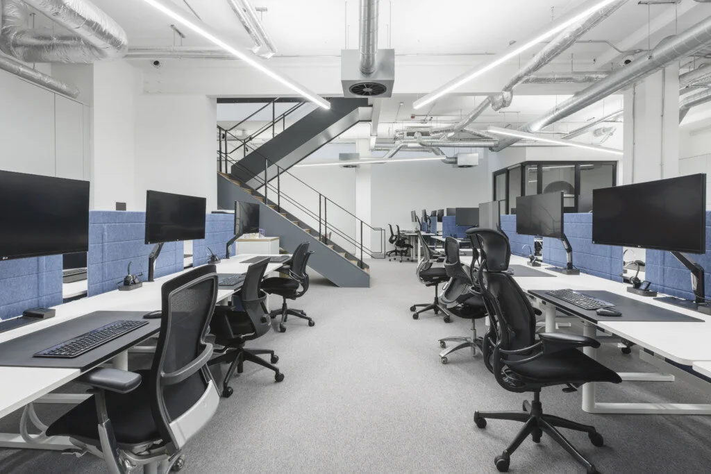 Existing basement office