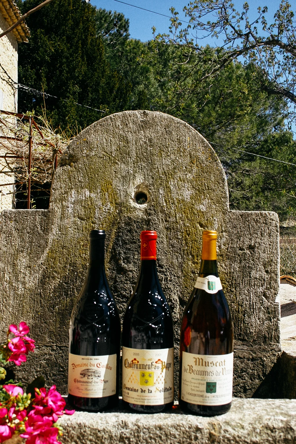 3 red bottles-1.jpg