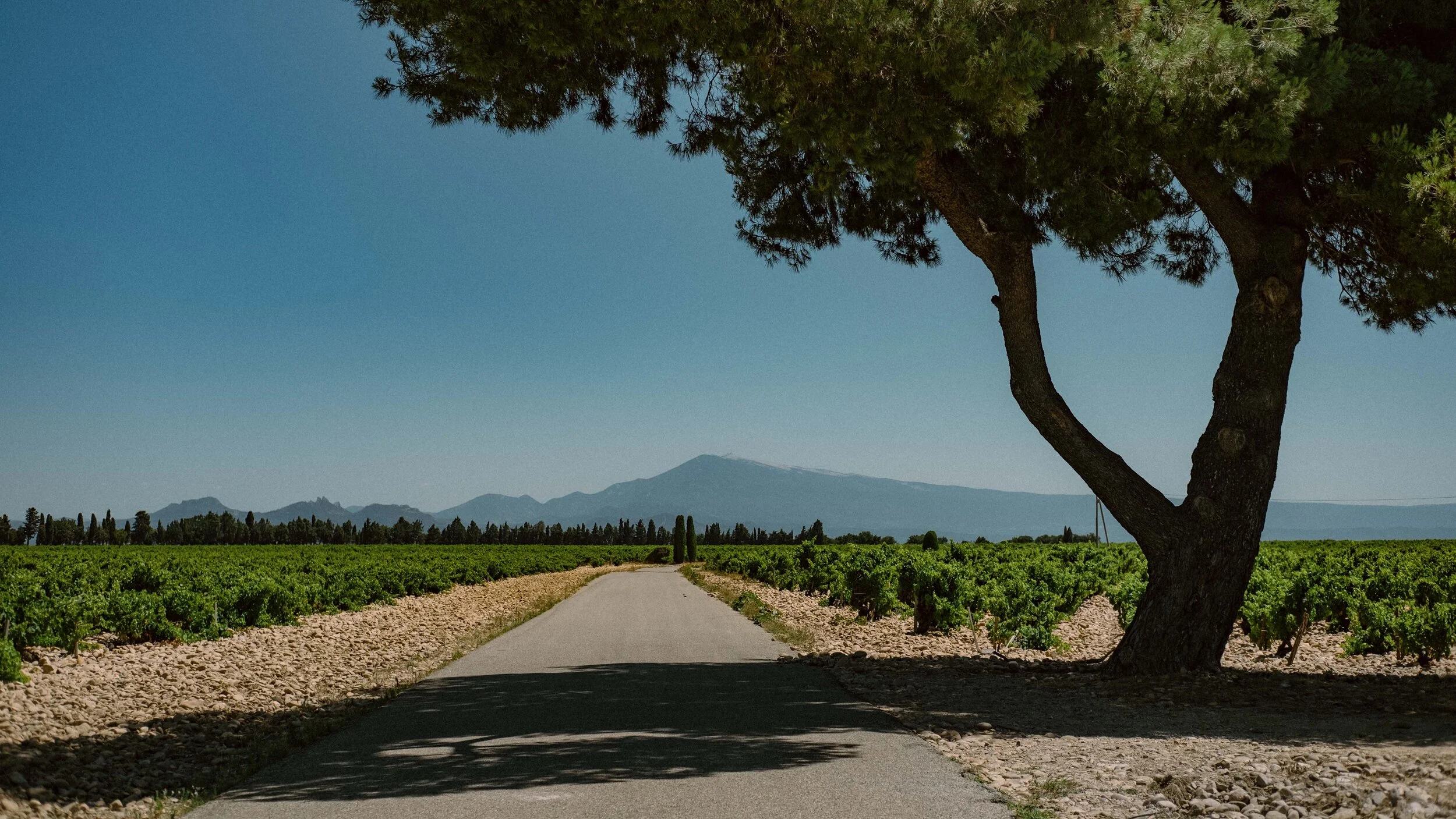 RWH_Website_Road-30.jpg