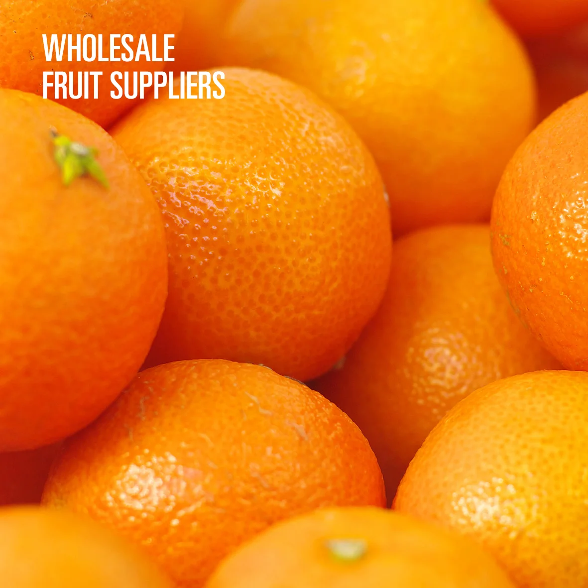 Fruit Suppliers.jpg