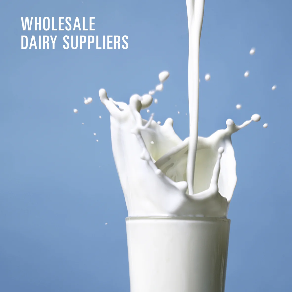 Dairy Suppliers.jpg
