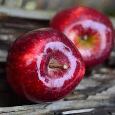 Red Delicious apple