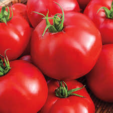Beef Tomatoes