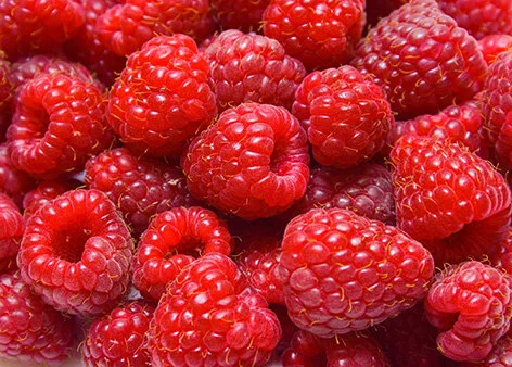 Raspberries
