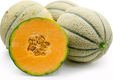 Canteloupe-Melons.jpg