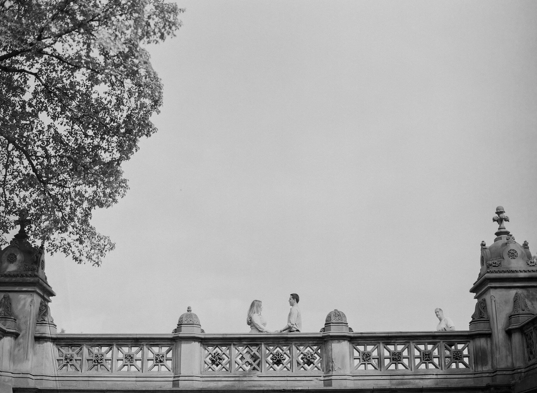 105.JPG