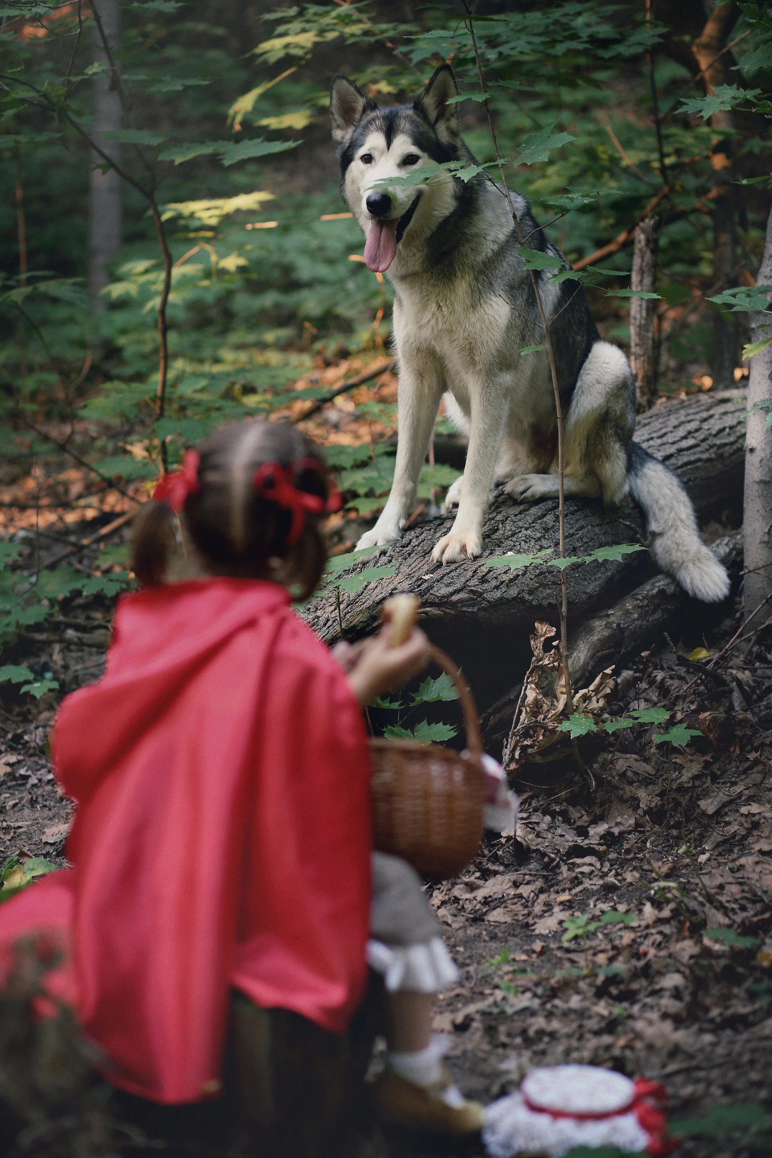 Drama, Play, and Empathy