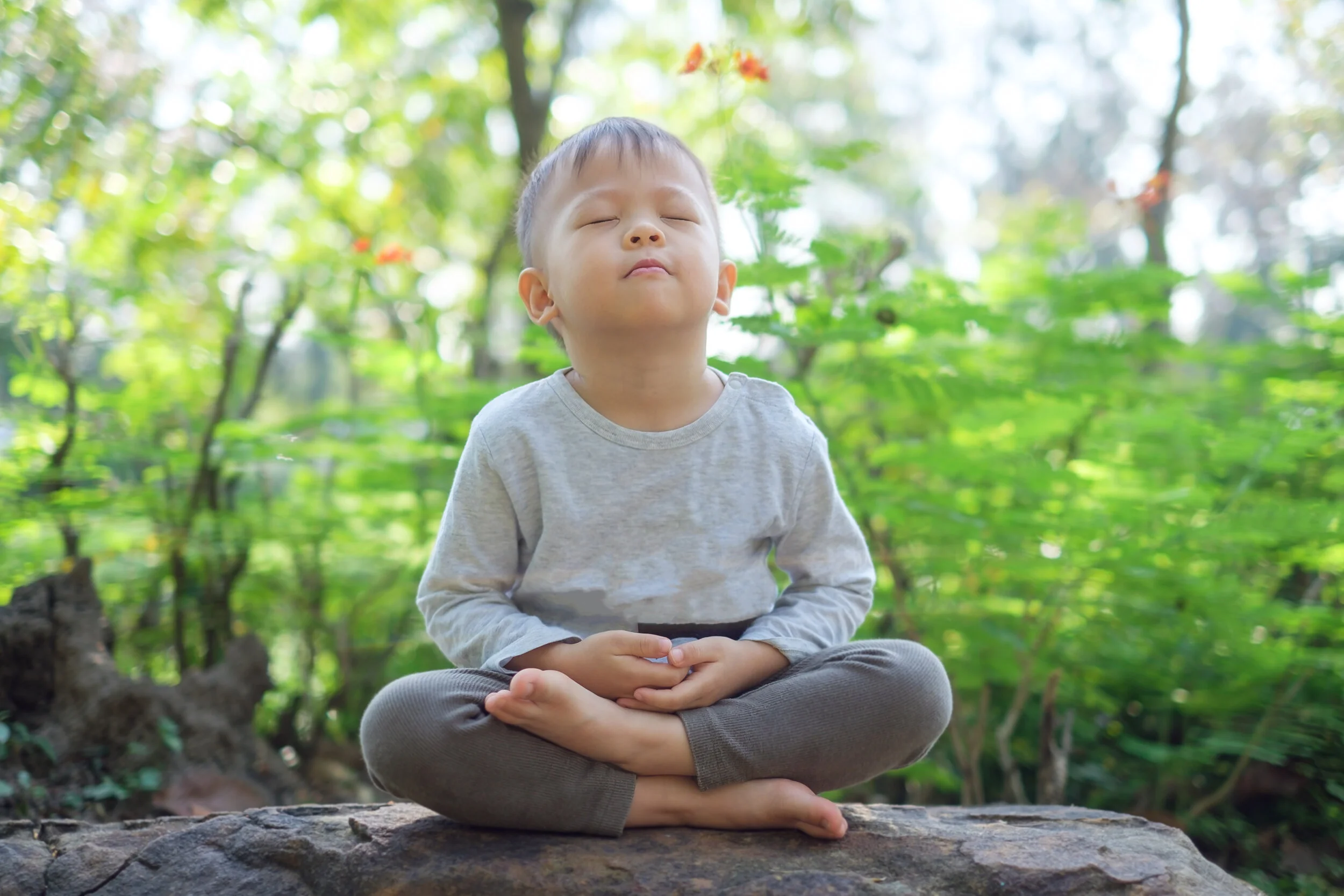 Mindfulness in the Classroom
