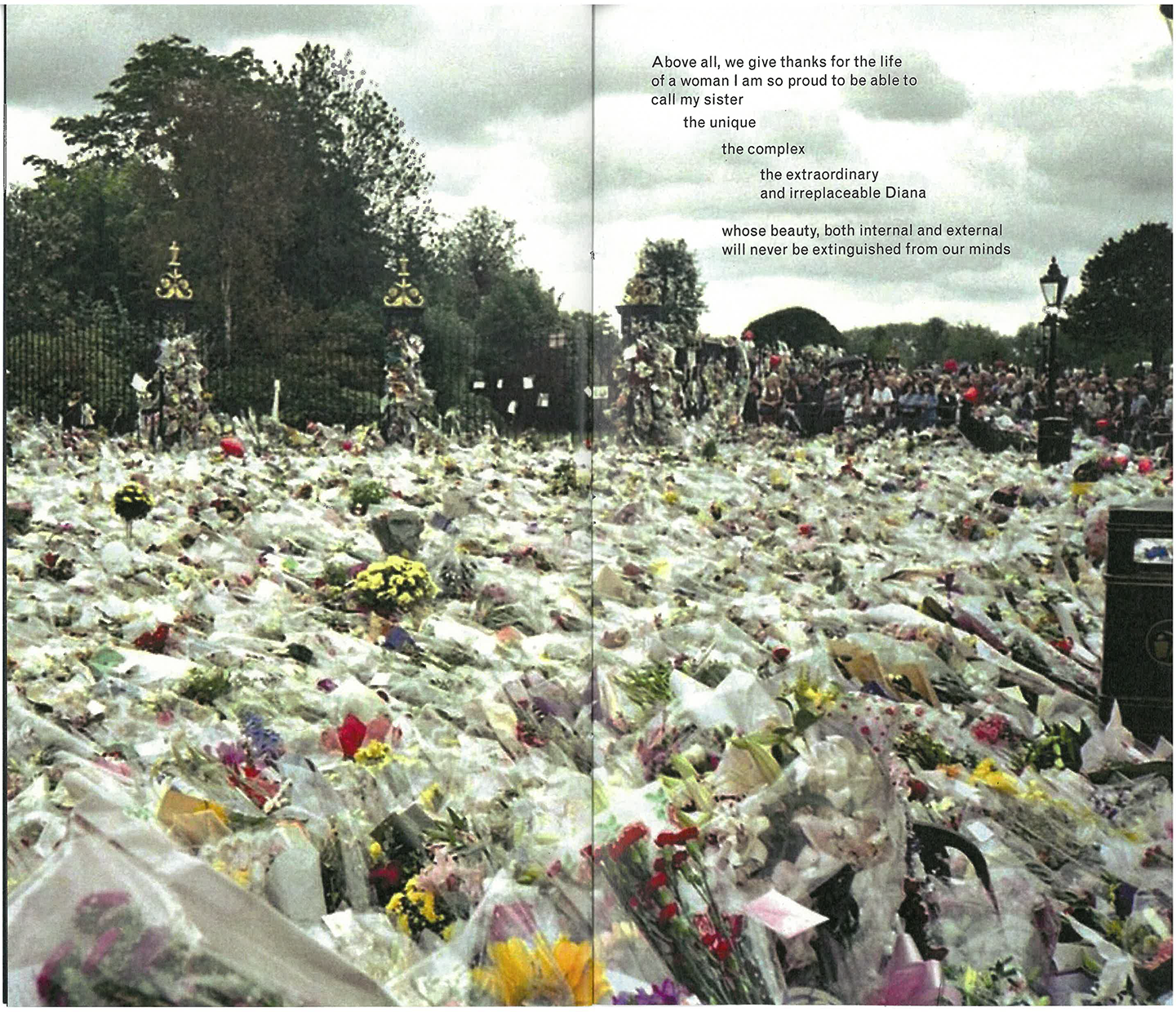 scan 1.png