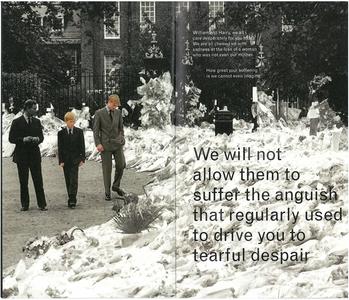 scan 2.png