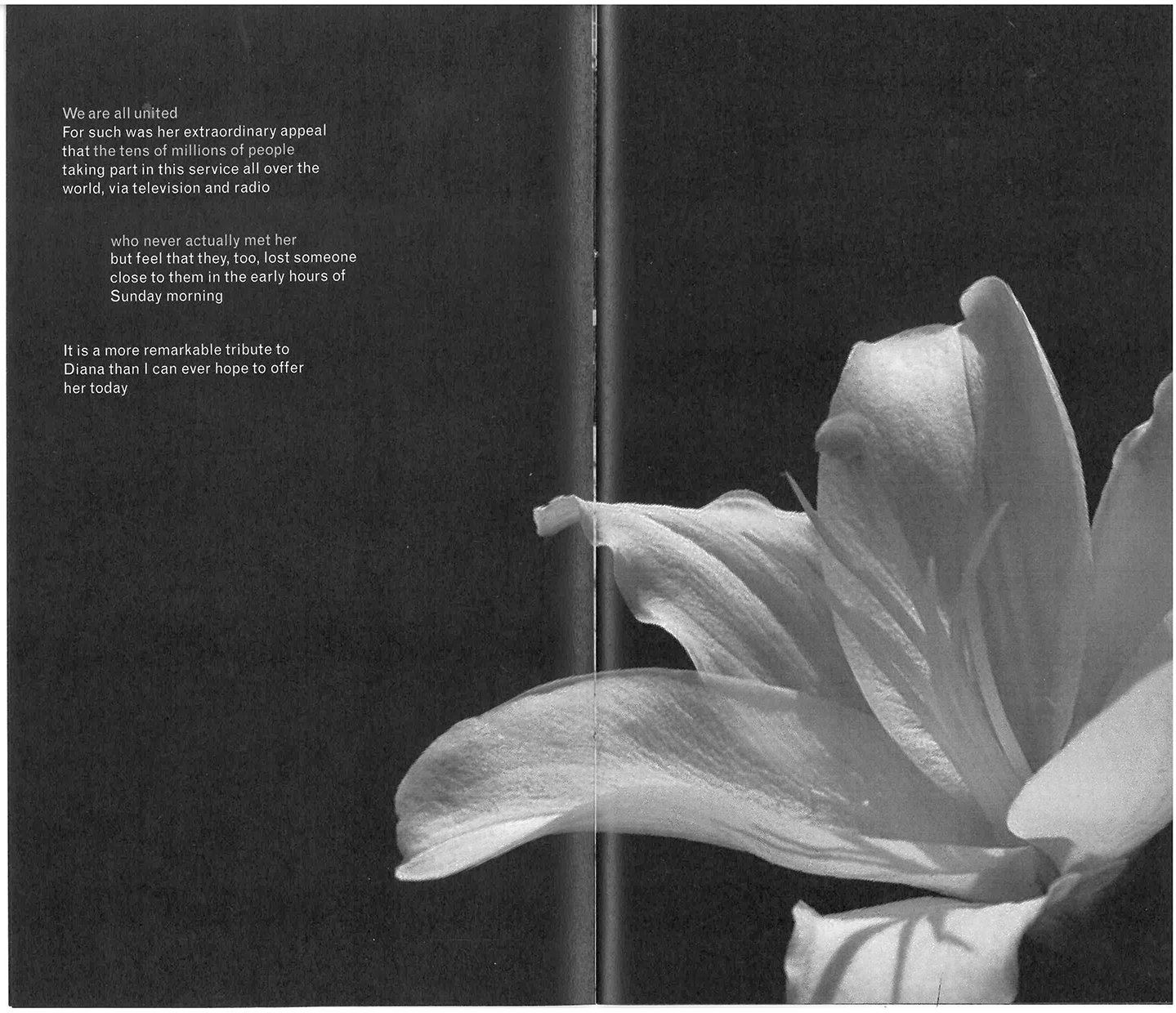 scan 8.png