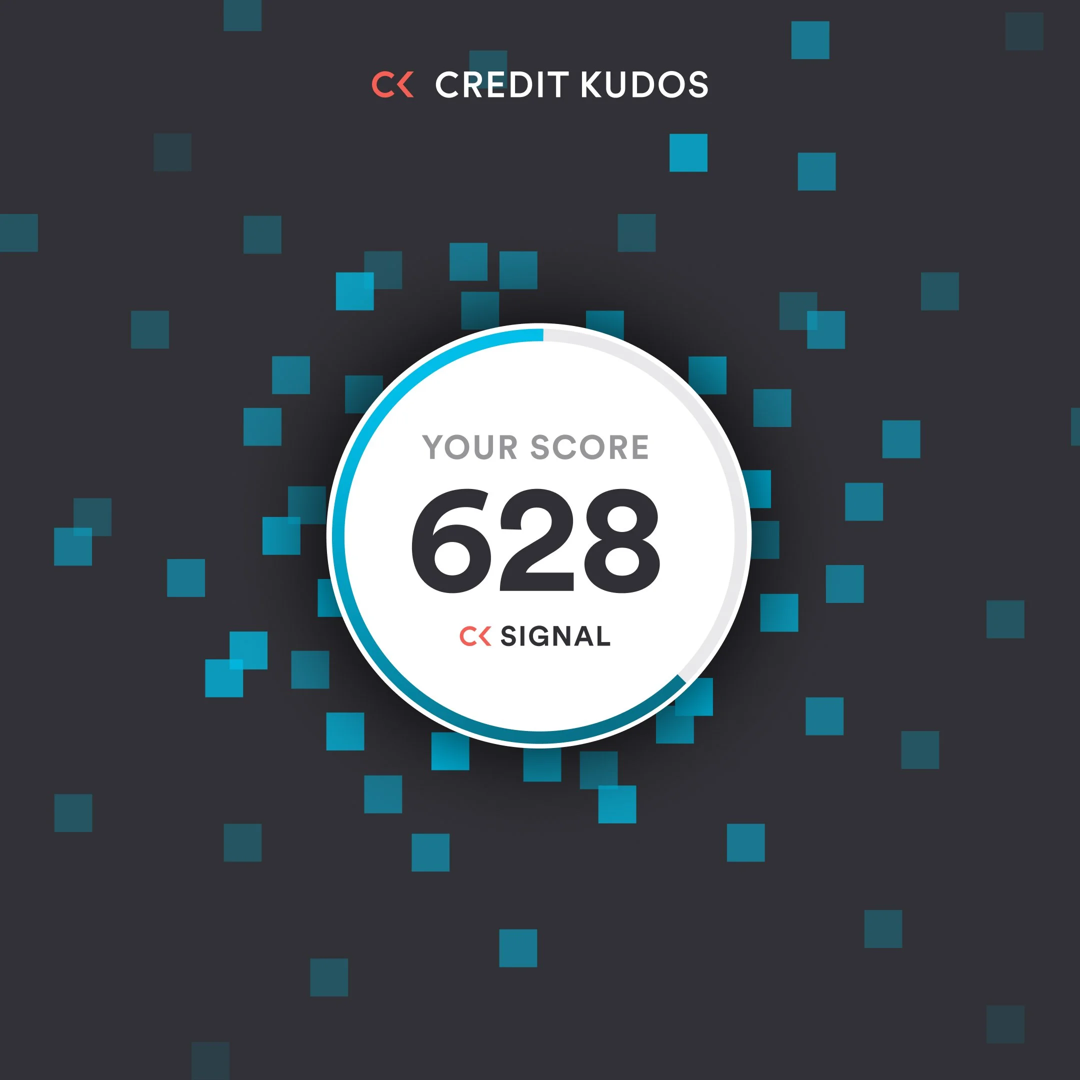 jess_downie_portfolio_thumbnail_ck_signal.jpg