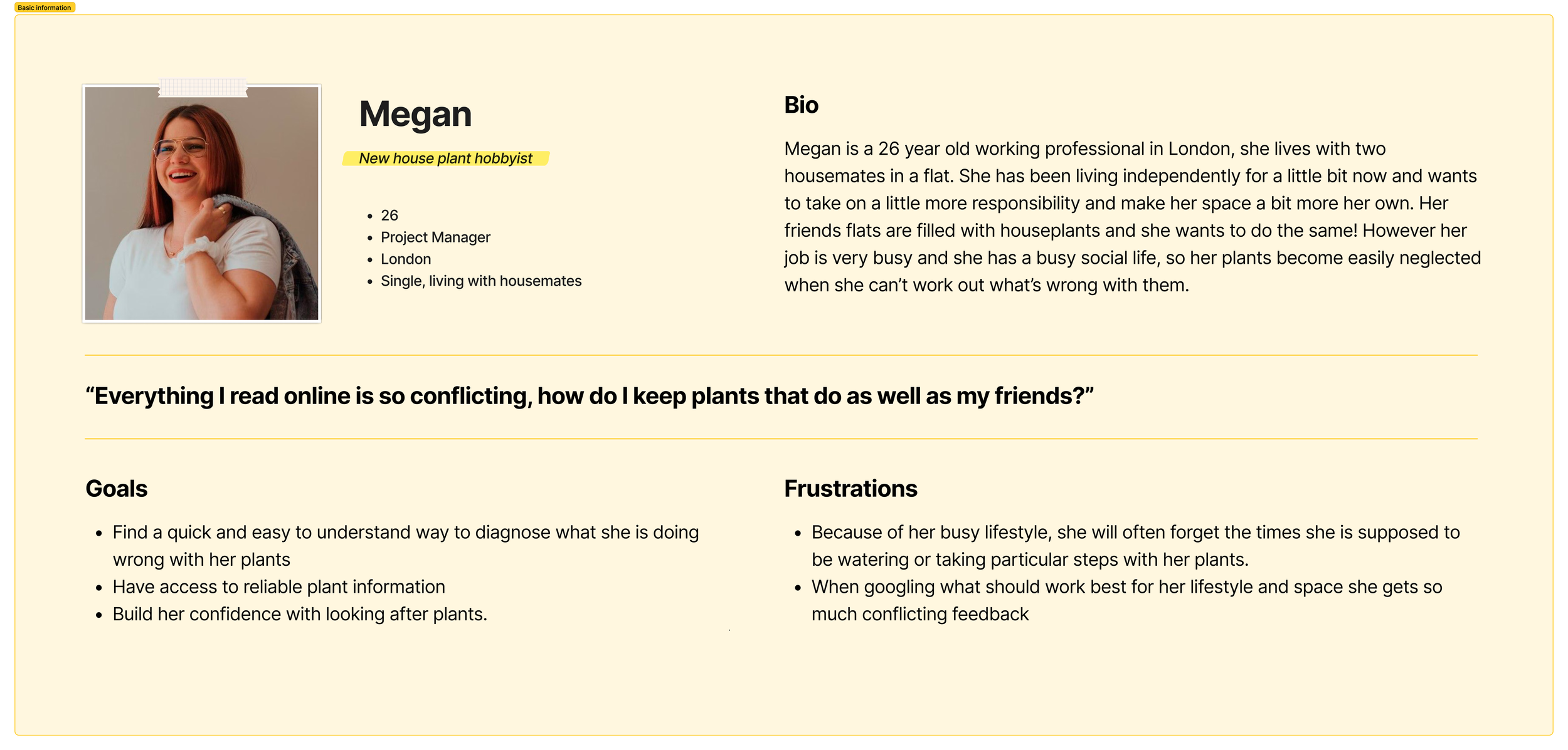 Megan User Persona.png