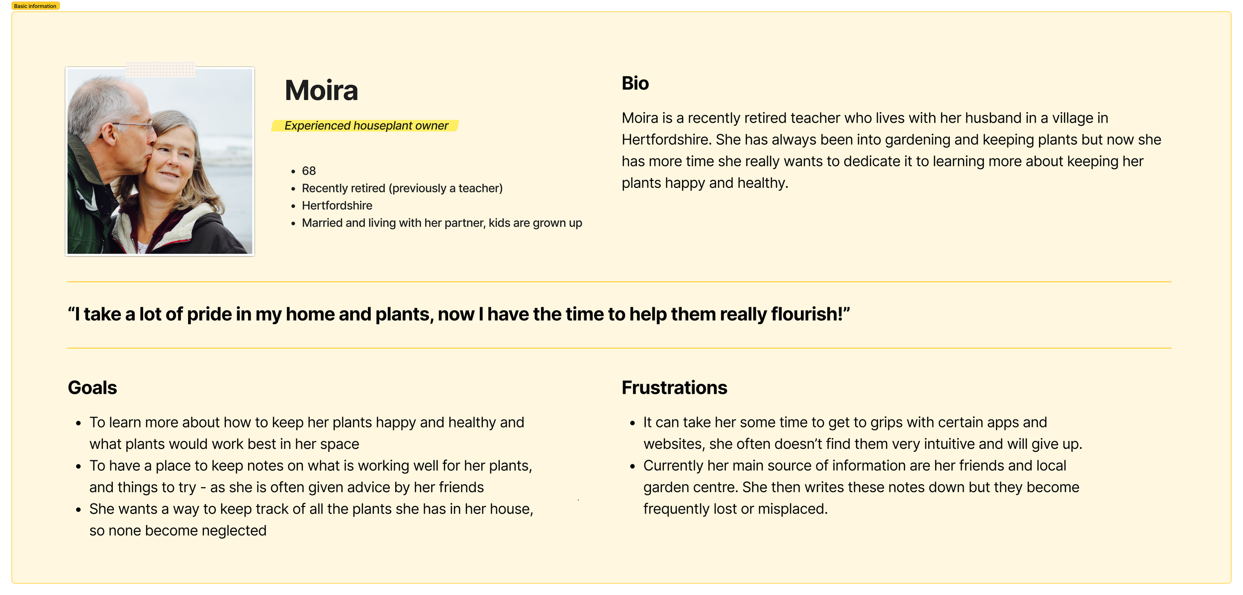 Moira User Persona.png
