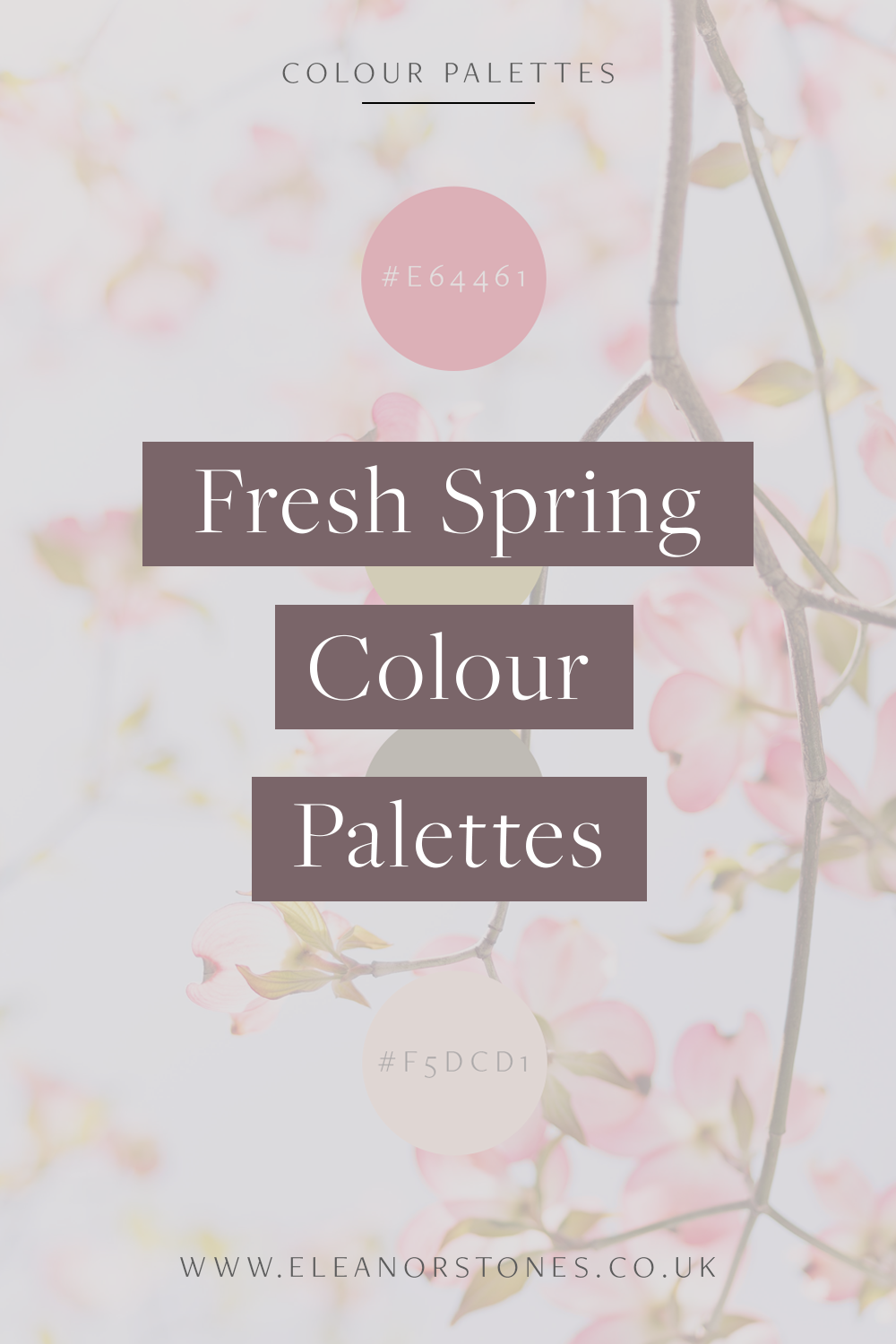 Fresh Spring Colour Palettes