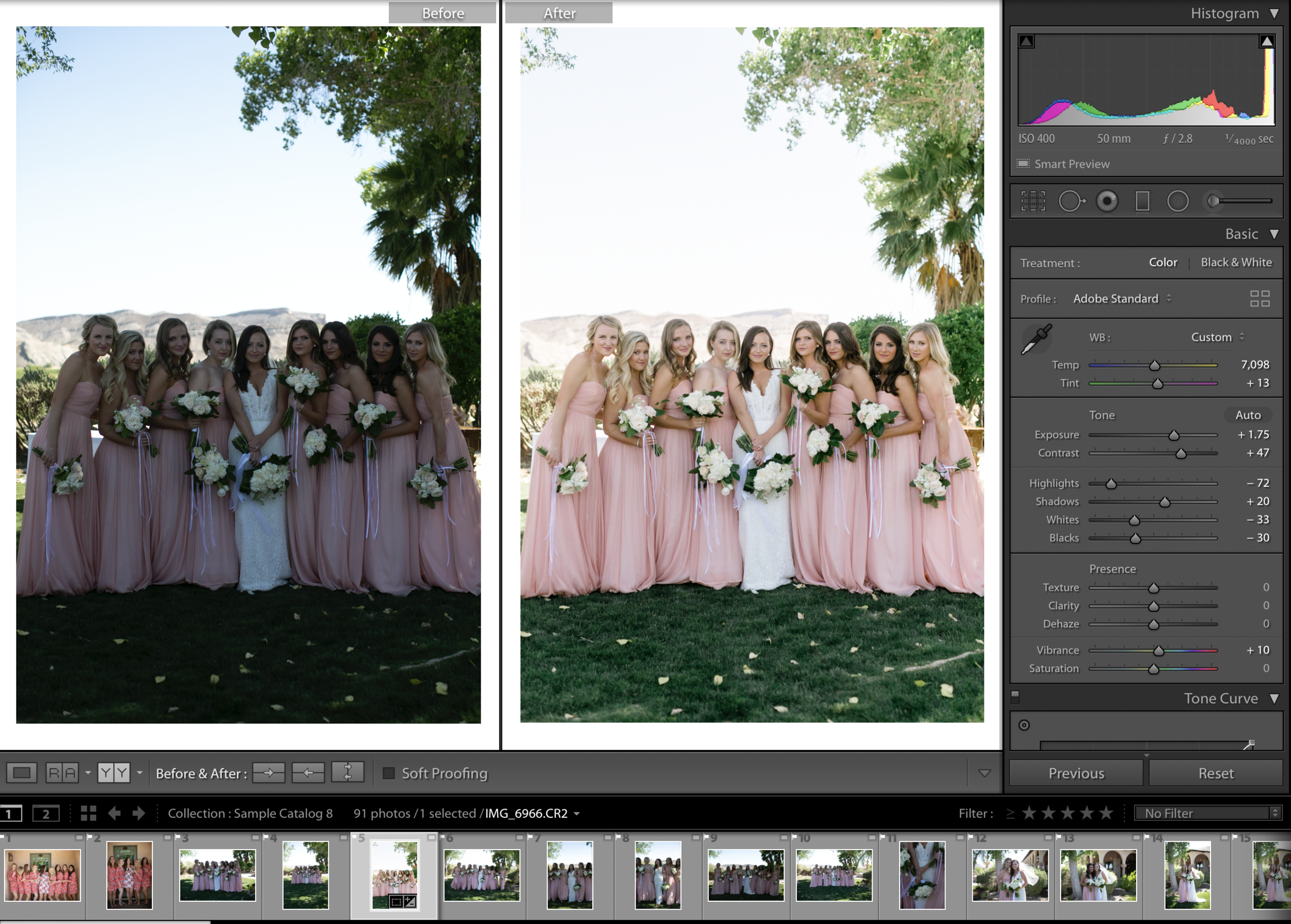(This is a screenshot of one of the practice photos found in the Guide)