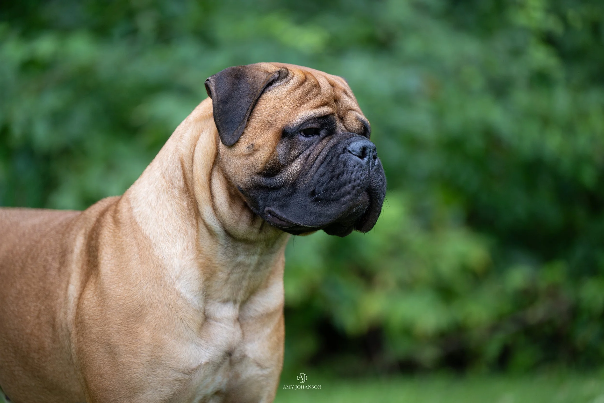 DSC_6713-Edit.jpg