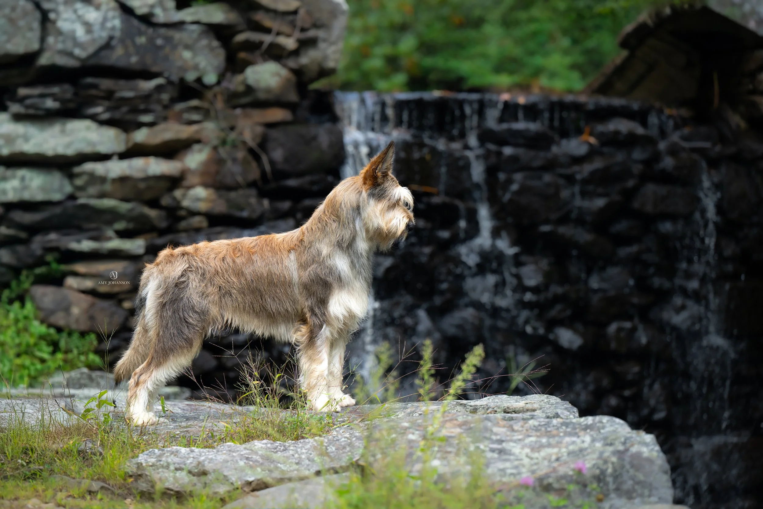 DSC_6931-Edit.jpg