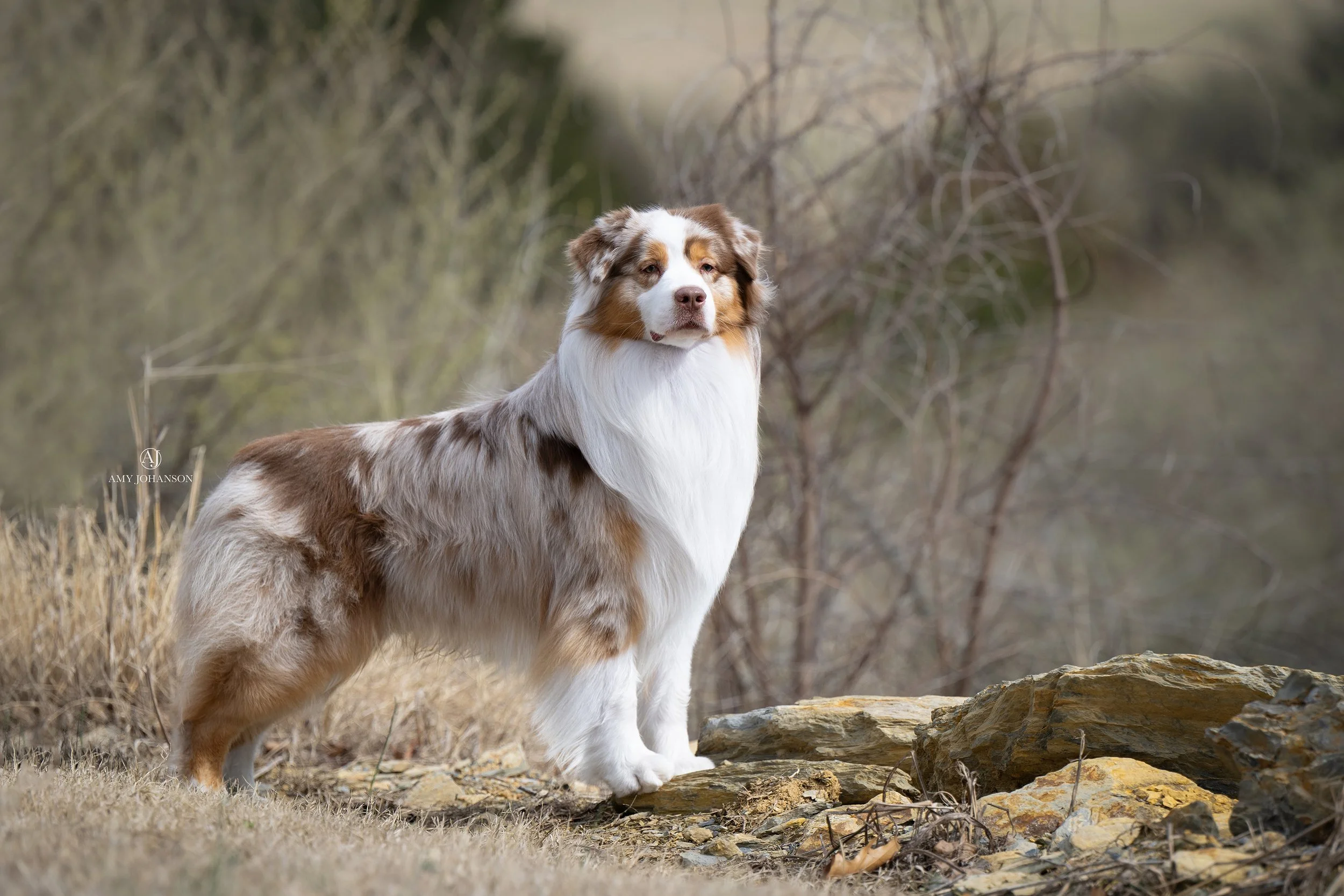 DSC_3023-Edit.jpg