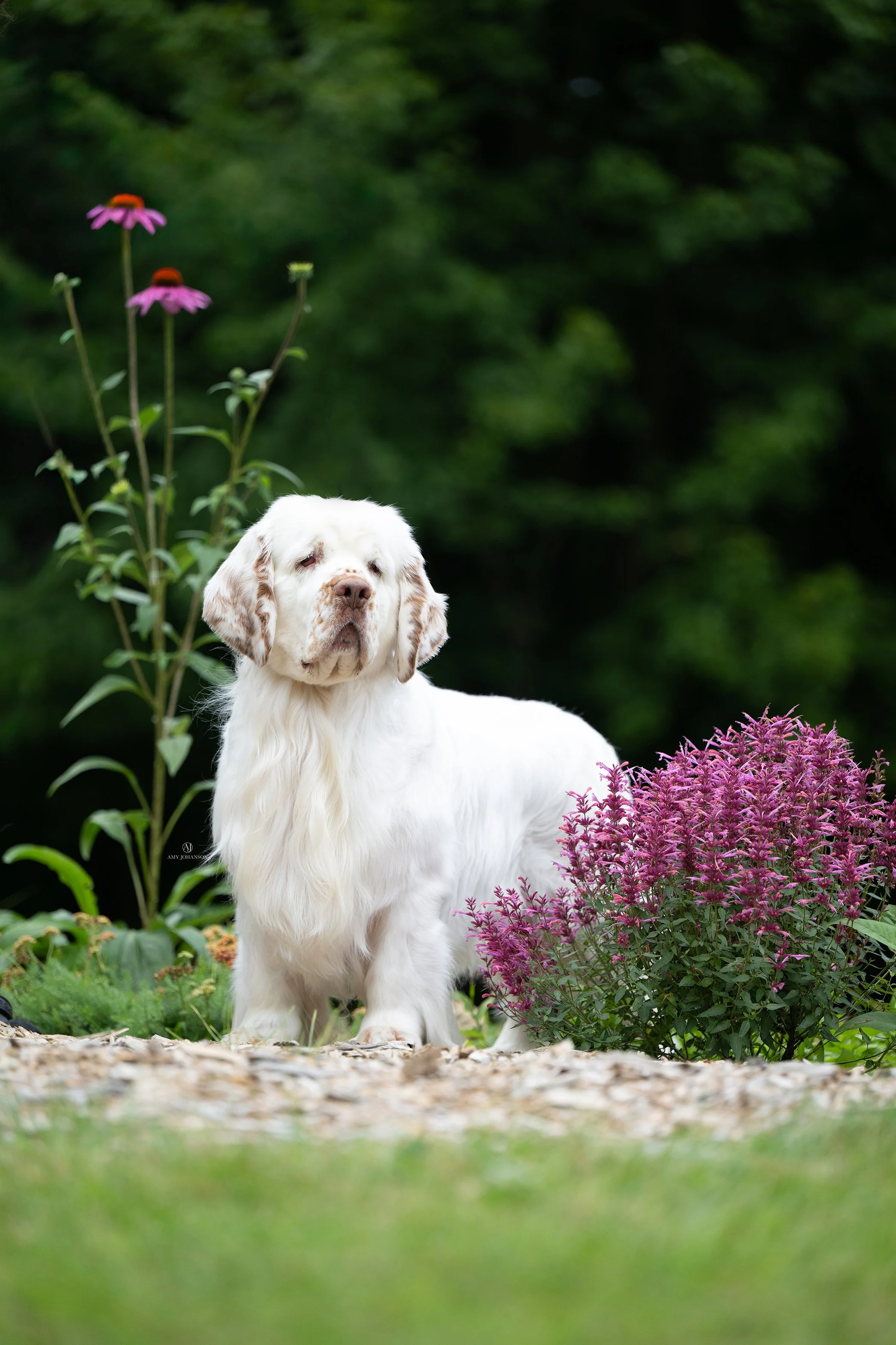 DSC_6741-Edit.jpg
